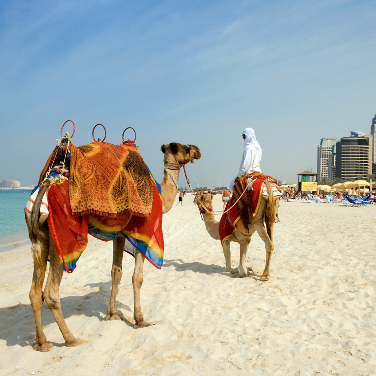 Dubai Travel Guide